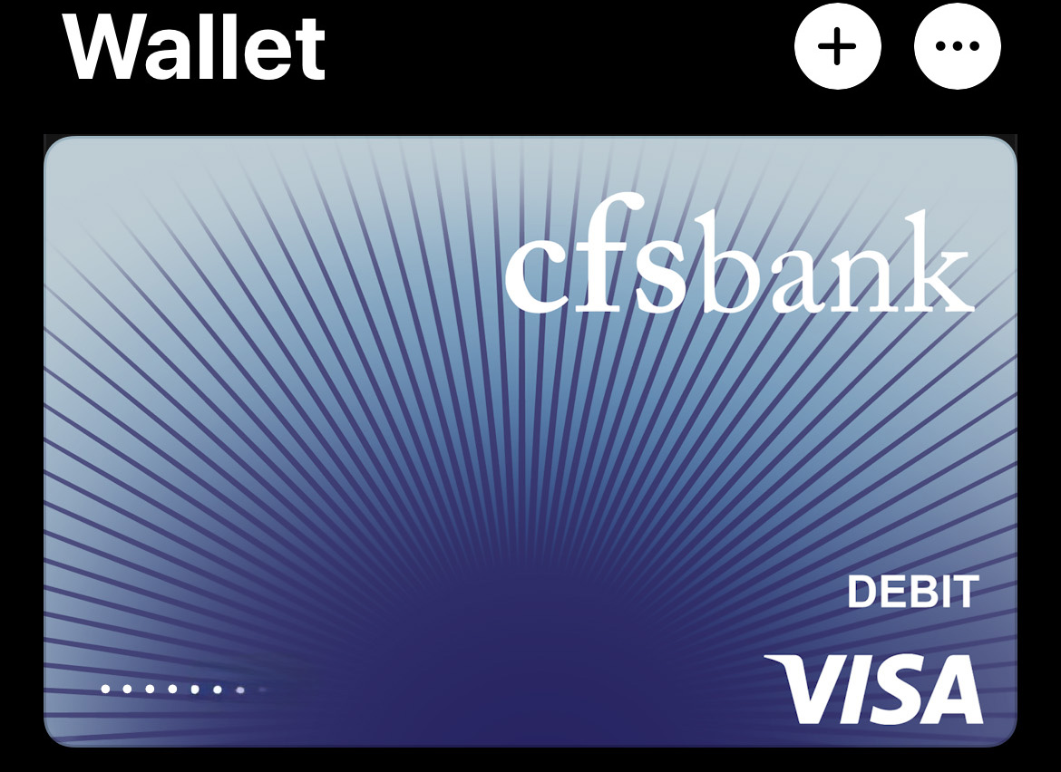 Visa Debit Card